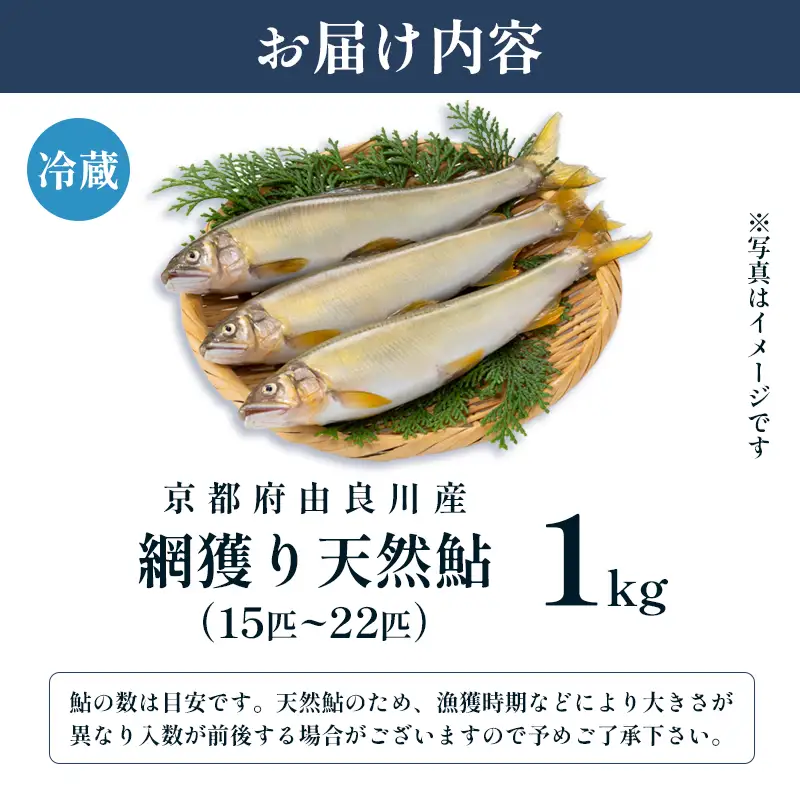 【2026年夏発送】 天然鮎 網獲り 約1kg（約15匹～22匹） 配送不可：北海道、東北、九州、沖縄、離島