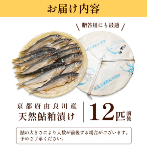 天然鮎の粕漬け 12匹 あゆ 鮎 粕漬け
