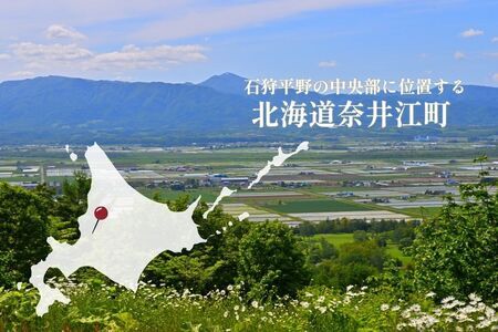 北海道奈井江町　ななつぼし　玄米　30kg