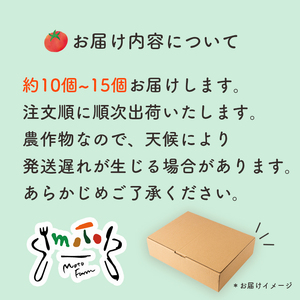 【2026年6月下旬頃から順次発送】トマト 2kg  甘みと酸味の絶妙なバランスの麗月トマト 赤採れ moto farm 愛媛県 松山市【MTF004】