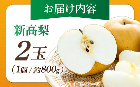 まるはり新高梨（約800g×2玉入） 〈2026年9月下旬?2026年10月上旬発送〉 / 新高梨 梨 果物 フルーツ デザート 【高知市農業協同組合】 [ATBK001]