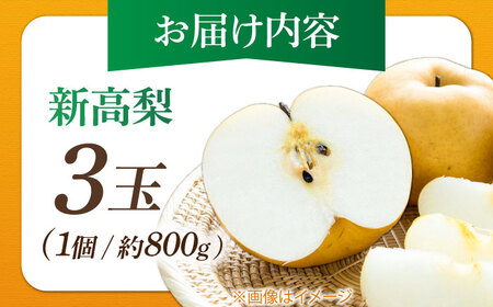 まるはり新高梨（約800g×3玉入） 〈2026年9月下旬?2026年10月上旬発送〉 / 新高梨 梨 果物 フルーツ デザート 【高知市農業協同組合】 [ATBK002]