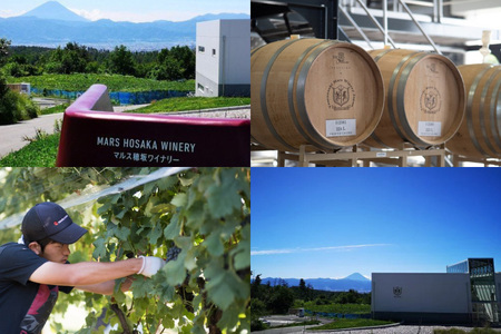 【ふるなび限定】 体験チケット 1名様分 あなたにピッタリなワインをソムリエと一緒に見つけませんか。 [本坊酒造株式会社マルス穂坂ワイナリー 山梨県 韮崎市 20745037]  FN-Limited-SP