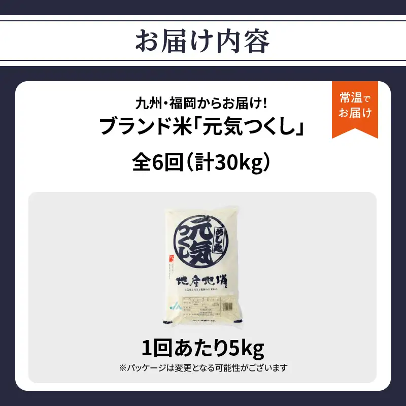 九州・福岡からお届け！ブランド米「元気つくし」定期便【全6回】 お米 米 コメ 白米 特A 直送 お弁当 おにぎり 炊きたて ツヤ 粘り もちもち 弾力 卵かけご飯 福岡県 八女市 072-T158