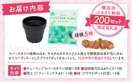 横浜限定チューリップ　ラバーズタウン栽培セット　株式会社サカタのタネ |  花 園芸 ガーデニング 庭 ベランダ 家庭 種苗 チューリップ  AOK0001