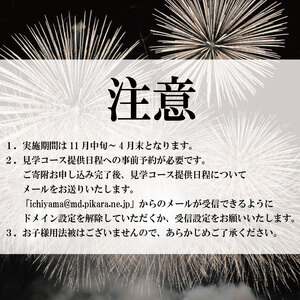 工場見学 花火 4名様コース 限定 お土産 法被 星 三尺玉 火薬 芸術 秘伝 新技術 伝統 はっぴ