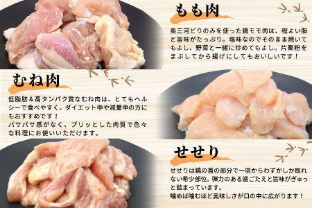 国産 若鶏味付け肉 3種セット 1.9kg（もも肉250g×4・むね肉250g×2・せせり200g×２）せせり もも むね 塩ダレ 味付け肉 鶏肉 鶏 肉 キャンプ バーベキュー 大容量 地鶏 焼肉 焼き鳥 田口塩鶏 若鶏 奥三河どり 20000円 20,000円 -172