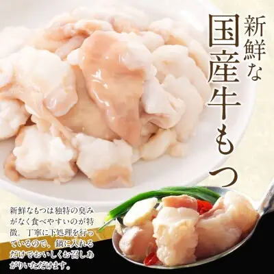 Y86-14 博多特選もつ鍋（4～5人前)(2パック小分け)（醤油味） もつ鍋