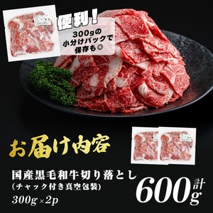 国産 黒毛和牛 切落し 計600g（300g×2P） 牛肉 牛 切り落とし 切落し 小間切れ 小分け 真空パック a0-374