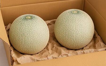 山形メロンの定期便 7月 緑肉メロン2玉 計2.5kg 8月 マスクメロン 2玉 計2.5kg 【令和8年発送】 FSY-2370