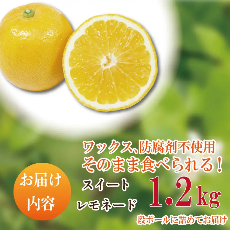 【2026年10月順次発送】 スイートレモネード 1.2kg (10～12個) レモン れもん 檸檬 柑橘 フルーツ 果物 完熟 国産 新鮮 果汁 レモン スイートレモネード  スイートレモネード  スイートレモネード 