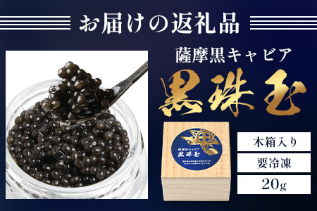 【数量限定】薩摩黒キャビア黒珠玉 鹿児島水産高校 枕崎キャビア【木箱入り】【20g×1箱】 C3-2【配送不可地域：離島】【1614940】