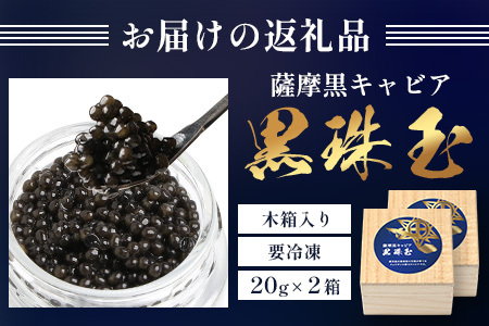 【数量限定】薩摩黒キャビア黒珠玉 鹿児島水産高校 枕崎キャビア【木箱入り】【20g×2箱】 F5-3【配送不可地域：離島】【1614944】