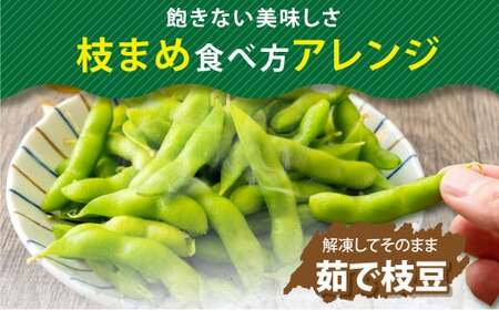 【3ヶ月定期便】そのまま枝豆 約1000g×2袋 計約6kg 枝豆 えだ豆 えだまめ エダマメ おつまみ おやつ 定期便 3回 国産 冷凍 [018-0071]