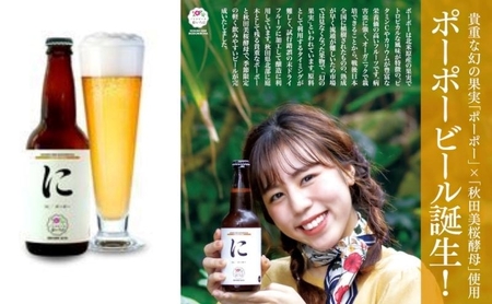 「能代いろは」クラフトビール 6本セット ビール お酒 地ビール 香り豊か エールビール  飲み比べ ビールセット 