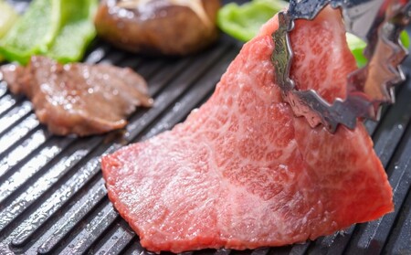 定期便 6回 訳あり ロース カルビ 焼肉 切り落とし A4～A5 博多和牛 500g 配送不可 離島 お肉 牛肉 おうち焼肉 厳選部位 とろける 柔らかい