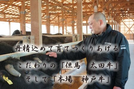 神戸牛(神戸ビーフ)訳あり 切り落とし肉（ばら・もも・かた）　400ｇ