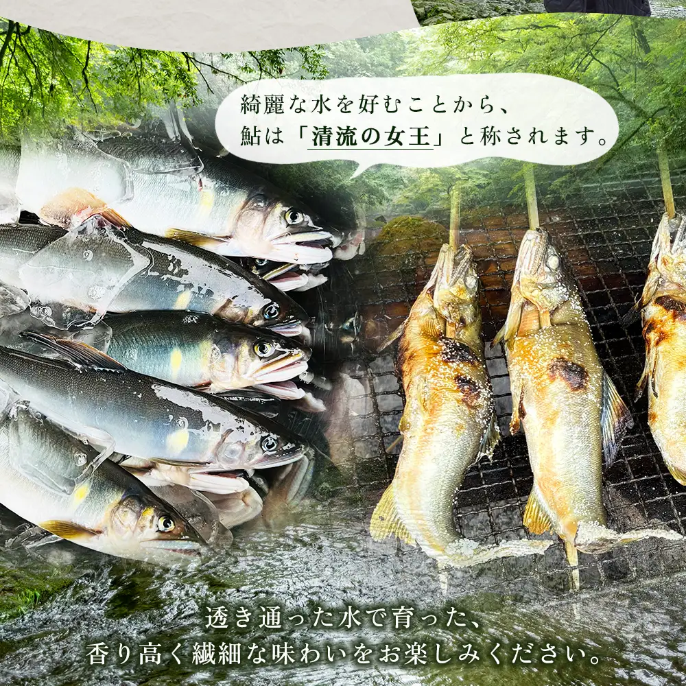 冷凍鮎　約500g 3E5