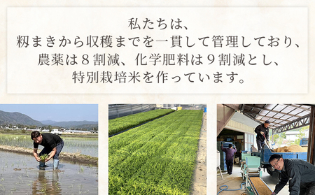 【令和8年8月下旬発送】特別栽培米 ミルキークイーン ５ｋｇ ミルキークイーン sr-0002