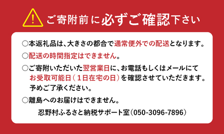 忍野工房　【超軽量】手作り家具「ダイニングチェア」