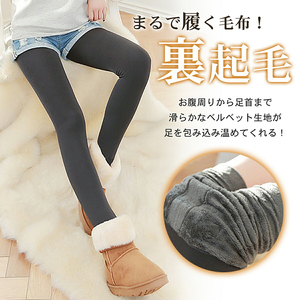 まるで履く毛布！　裏起毛レギンス/裏起毛タイツ［173N43］