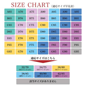 ノンワイヤー育乳ブラ［173N45］