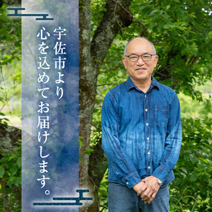 ストール シルクオーガンジー ぼかし染（黄）(70×190cm) 工芸品 染物 手作り【115101600】【染工房　芳心庵】