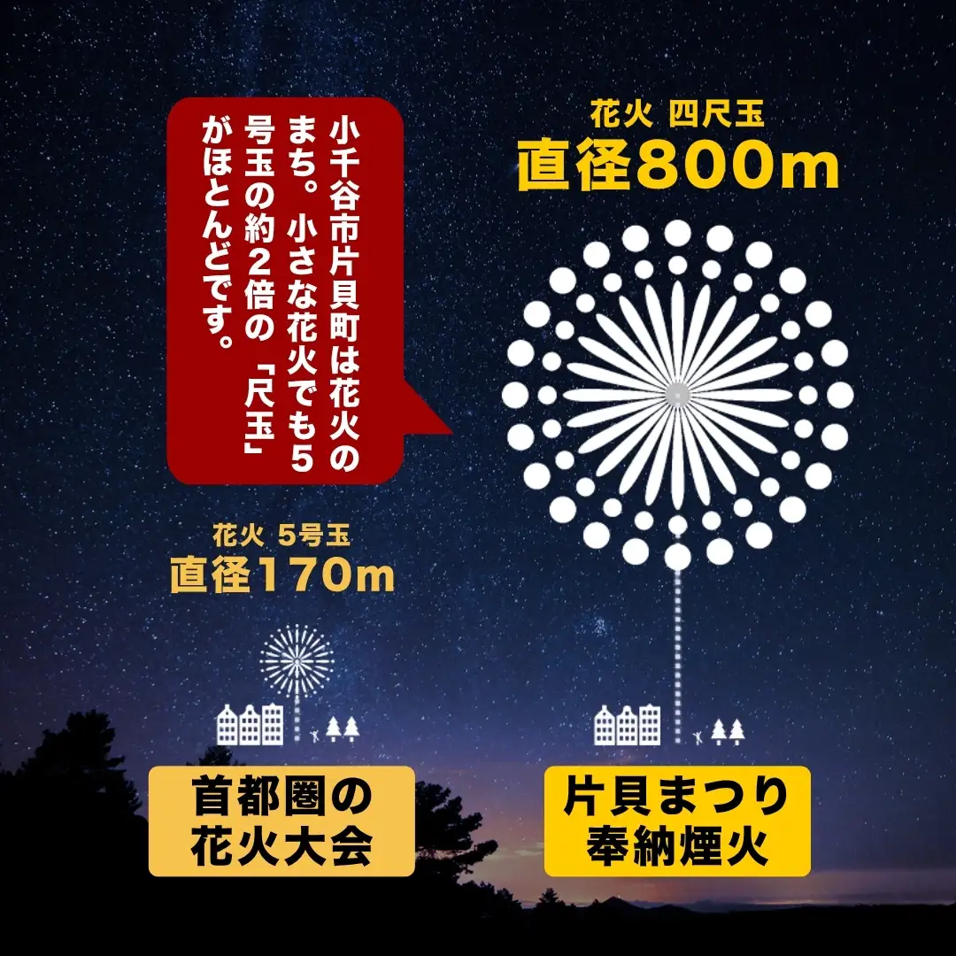 【先行予約 令和8年9月12日(土)】世界一を体感！片貝まつり花火大会 桟敷マス席チケット (最大6名様) | 花火 新潟県 小千谷市