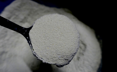 クライミングホールド・海の生き物セット クライミング 遊び 子供 トレーニング リサイクル素材 耐久 環境保護