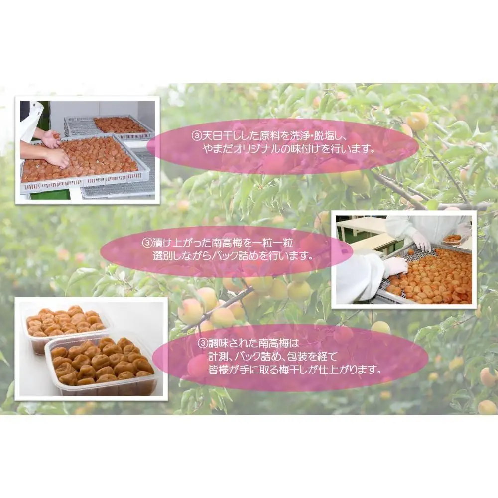 ご家庭用 大容量 紀州南高梅 しそ漬 つぶれ 塩分約15％ 700g×2 ［YM16］