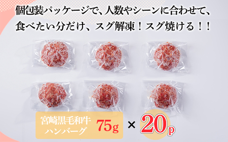 【ふるさと納税】[15,000個突破!!] 便利な小ぶりサイズがたっぷり! 黒毛和牛100% 粗びきミンチの手ごねハンバーグステーキ 75g×20個 国産牛100%  TF0842-P00064