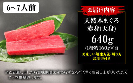 たね熟天然本まぐろ赤身(640g)[AOCE005]まぐろ