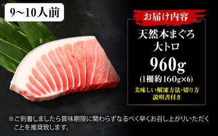 たね熟天然本まぐろ大トロ(960g)[AOCE008]まぐろ