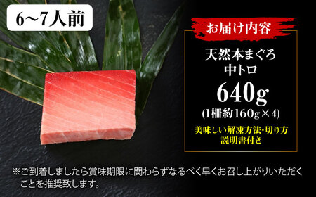 たね熟天然本まぐろ中トロ(640g)[AOCE010]まぐろ