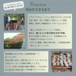 マヤナッツエナジーバーセット！　マヤナッツジョイバー3種の７日間セット 古代マヤから伝わるスーパーエナジーフード オーガニックで無添加 ／送料無料 山梨県 西桂 ふるさと納税 防災用品 栄養補助 エナジーチャージ エナジーバー ナッツバー 健康 おやつ アウトドア キャンプ 心とからだのケアー【n0492_myn】