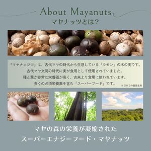 マヤナッツお試しセット　320g　マヤナッツパウダーとマヤナッツコーヒー風と４種類のマヤナッツドリンクのお試しセット　古代マヤから伝わるスーパーエナジーフード ／ミネラル ドリンク 送料無料 山梨県 特産品 ノンカフェイン コーヒー チャイ ショコラテ ジンジャー飲料 黒糖オーレ【n0493_myn】