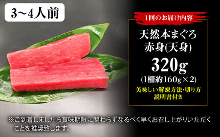 【全6回定期便】たね熟天然本まぐろ赤身(320g)[AOCE014]マグロ