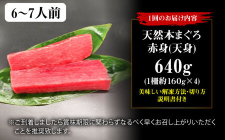 【全6回定期便】たね熟天然本まぐろ赤身(640g)[AOCE017]マグロ