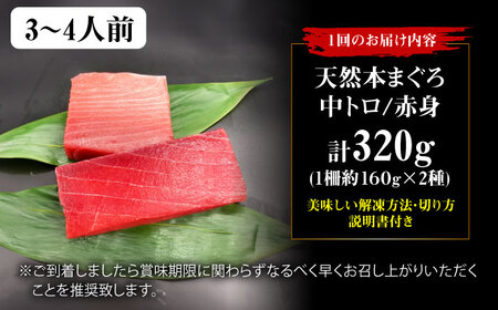 【全12回定期便】たね熟天然本まぐろ赤身＆中トロセット(320g 各160g)[AOCE042]マグロ