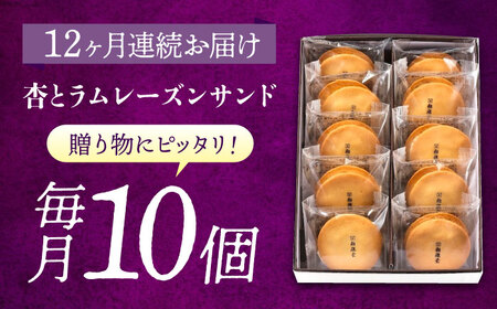 【全12回定期便】お菓子  杏とラムレーズンサンド 10個入り[BAFL017]お菓子