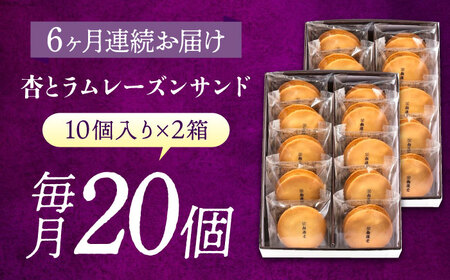 【全6回定期便】お菓子  杏とラムレーズンサンド 10個入り×2[BAFL020]杏