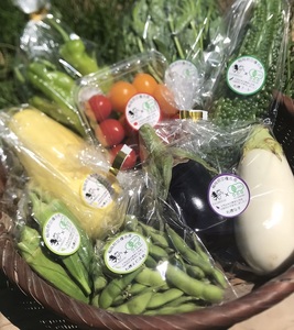 有機JAS認証 旬の野菜セット 8品【ぶたちゃんの畑】_HA1708