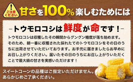 【ふるなびWEEK対象】とうもろこし 20本 とうもろこし【着日指定不可】