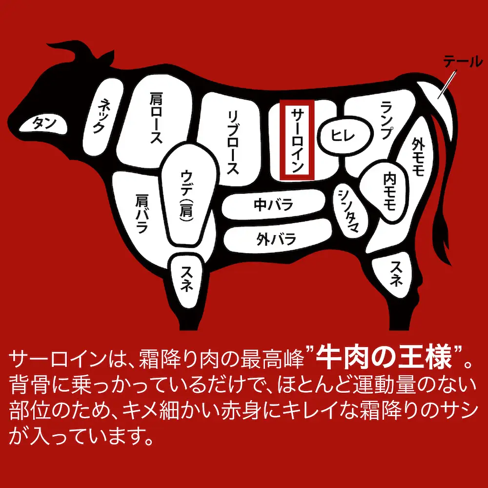 【全6回定期便】黒毛和牛 A5ランク サーロインブロック 500g 冷蔵 国産牛 ステーキ ブロック肉 BBQ