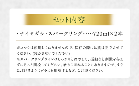 「ナイヤガラ・スパークリング」フルボトル（750ml×2本）計1500ml セット ぶどう ワイン スパークリングワイン 酒 葡萄 テーブルワイン 北海道産