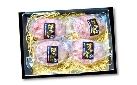 博多和牛100％ プレミアムハンバーグ 150g×4 A5 A4 冷凍 和牛 肉 牛肉 BBQ ハンバーグ 贈答品 [ABEN049]