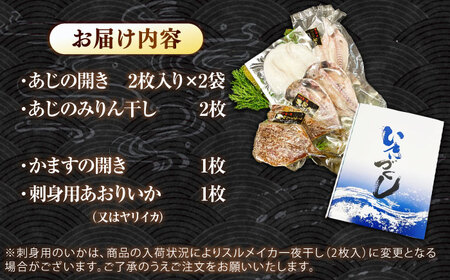壱岐の海の幸 干物セット《壱岐市》【壱岐市農業協同組合】あじ アジ 鯵 かます カマス いか イカ 烏賊 干物 ひもの 干物セット 冷凍配送[JBO153]
