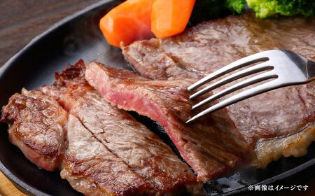 国産 博多和牛 A5ランク サーロイン ステーキ 250g × 2枚 雌 ステーキ 和牛 肉 BBQ [ABEN013]