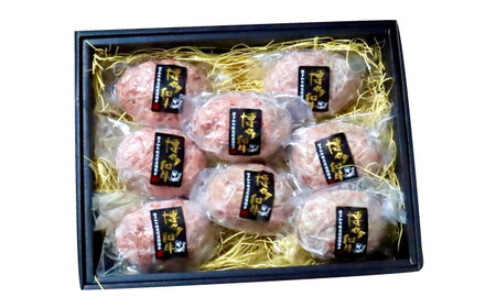 【全12回定期便】博多和牛100％ プレミアムハンバーグ 150g×8 A5 A4 冷凍 和牛 肉 牛肉 BBQ ハンバーグ 贈答品 [ABEN056]