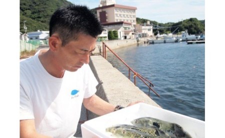 【淡路島3年とらふぐ】松　ふぐ鍋・ふぐ刺身・白子セット（5～6人前）